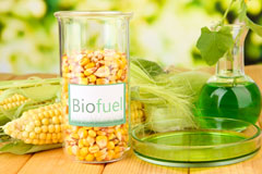 Playford biofuel availability